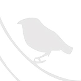 Por favor, escriba las letras y los números siguientes