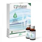 Lynfase