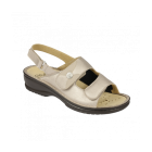 Scholl Costanza B/S