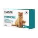 Buusca Probiocare Gatos 20 cápsulas equilibrio y función intestinal