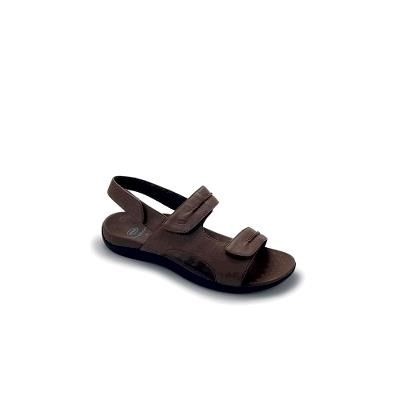 scholl leve 41